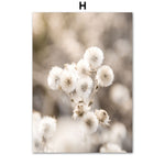 Nordic Poster Paris Hot Air Balloon Beach Grass Dandelion Wheat